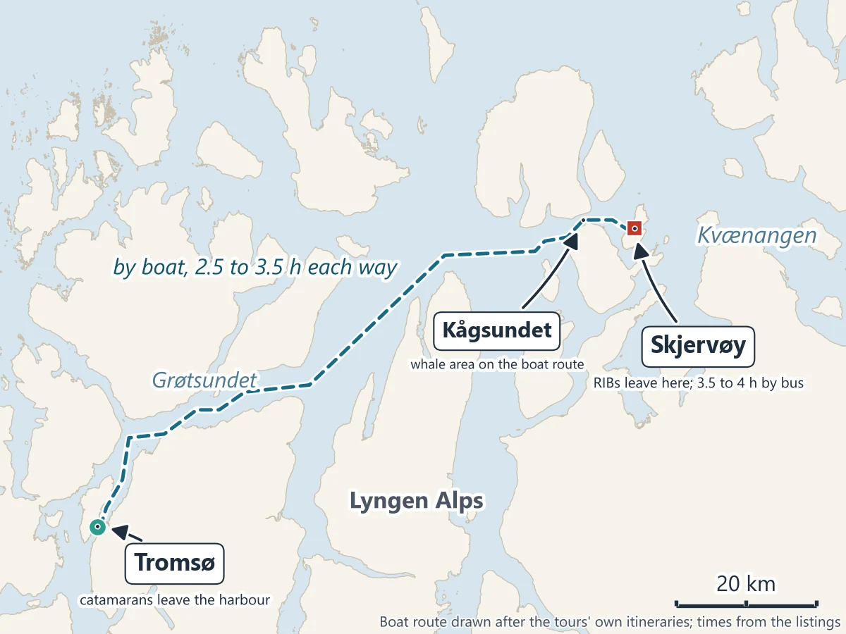 Map of Tromsø and the fjords to its north: the catamarans' route from Tromsø harbour through Grøtsundet and past the Lyngen Alps to Kågsundet and Skjervøy, with Kvænangen to the east